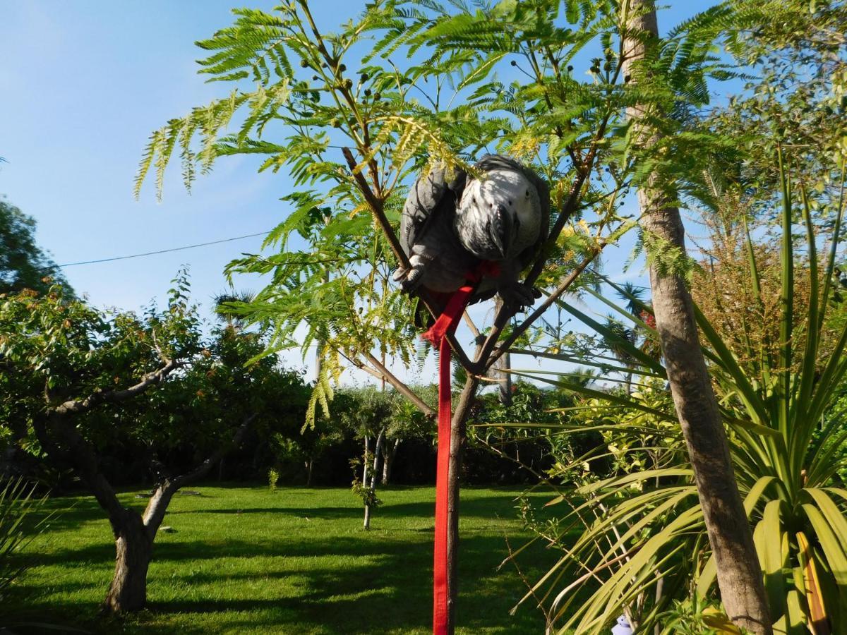 Villa Delle Vacanze Fiumefreddo di Sicilia Luaran gambar